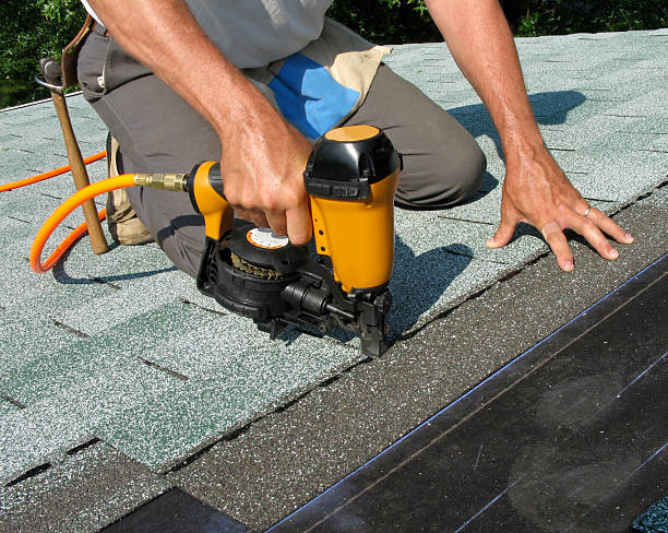 Best Roof Repair Services  in Madison Lake, MN