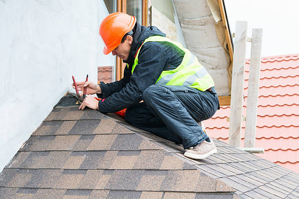Best Roof Maintenance Services  in Madison Lake, MN