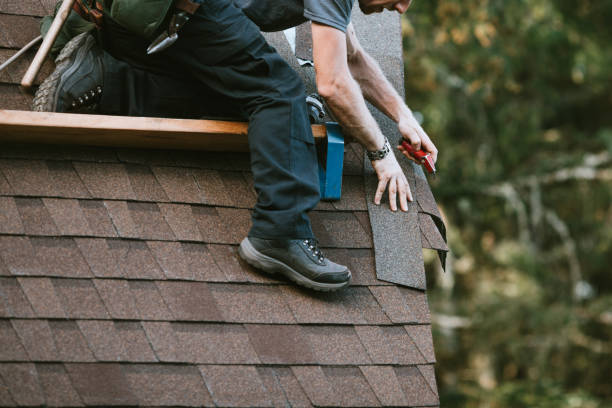 Best Metal Roofing Contractor  in Madison Lake, MN