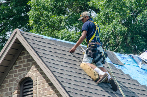 Best Roof Maintenance Services  in Madison Lake, MN